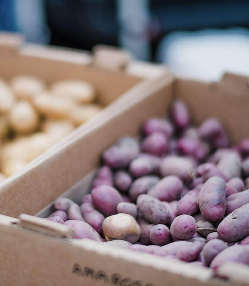 farmers-market-31